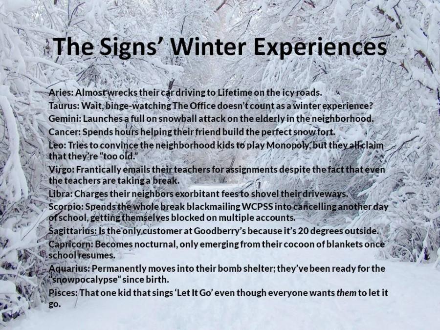 The+Signs+Winter+Experiences