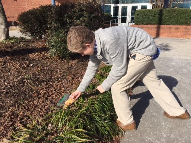 Cleaning up trash around the Millbrook campus, sophomore Connor Jamison fulfills his job as a member of the FFA. The FFA is a great way to meet new people, gain leadership opportunities, and learn more about agriculture.
