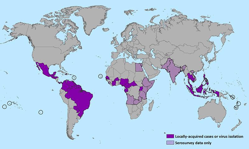 The Zika virus has spread across much of the equator and surrounding areas. Warm climates like these allow mosquitoes to flourish.