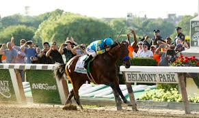 Racing Past his opponents, American Pharoah was the last horse to ever win the Triple Crown. He is the first horse to accomplish this since 1978. 
