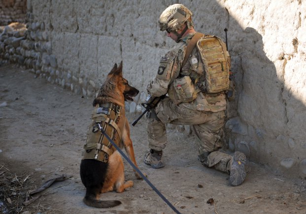 Patrolling the Afghan border with his dog, a United States troop searches for explosives. The explanation of U.S. military involvement in Afghanistan comes with a complicated history.