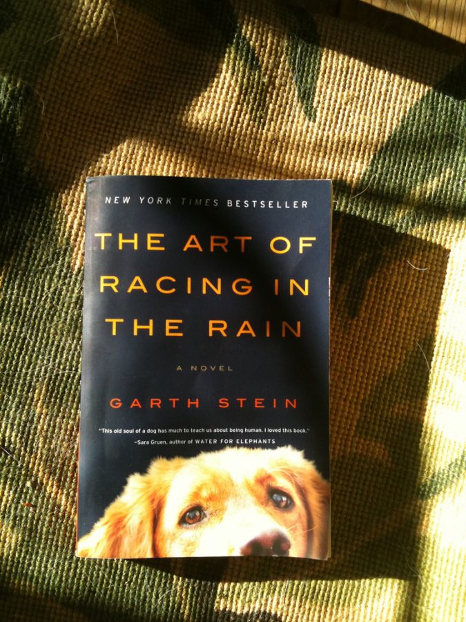 With big, doleful eyes, Enzo from the book Racing in the Rain nearly stares straight at the reader. This story is one of the best if you want a good cry.