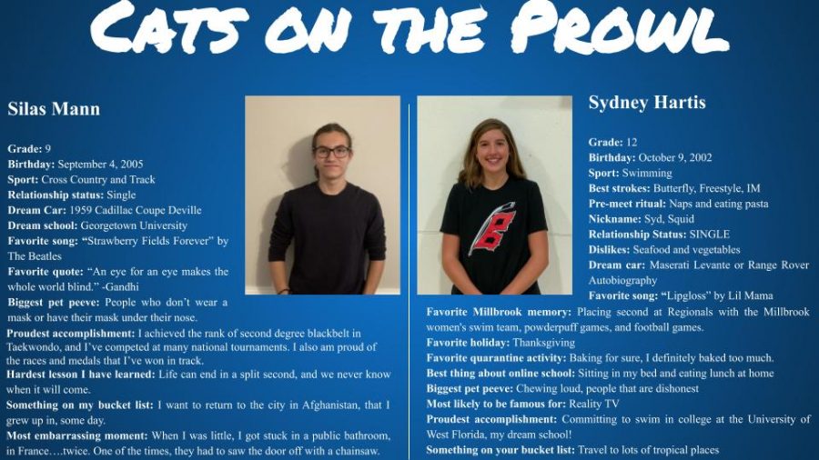 Cats on the Prowl: Silas Mann and Sydney Hartis