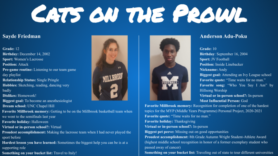 Cats on the Prowl: Sayde Friedman and Anderson Adu-Poku