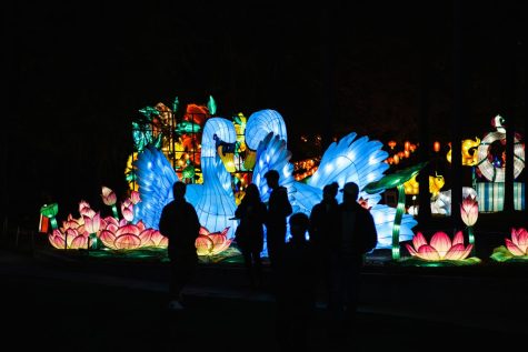 Chinese Lantern Festival Lights Up Cary