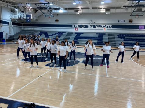 The dance team had great performances the crowd loved.