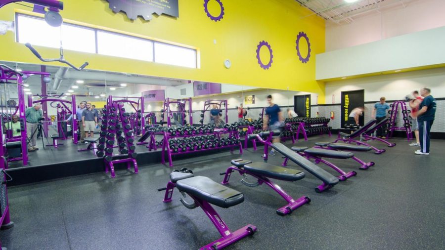 Picture of some of the equipment at planet fitness located in Raleigh on Leland Dr. Picture taken by Planet Fitness.