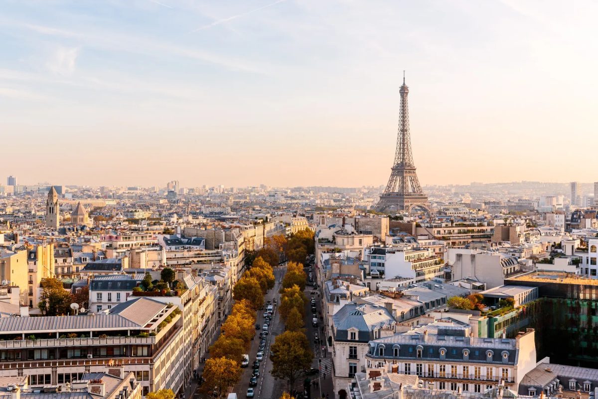 
Paris’ popularity makes it subject to infestations occurring and becoming out of control.
Bed bugs are more attracted to dirty surfaces, and with so much tourism Paris gets dirty. 
