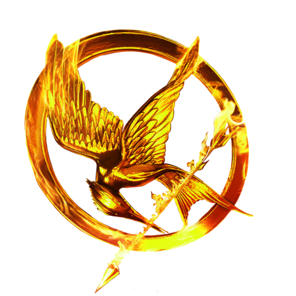 ‘The Hunger Games: The Ballad of Songbirds and Snakes’ movie’s upcoming release has renewed the fandom, introducing others to the beloved books.
