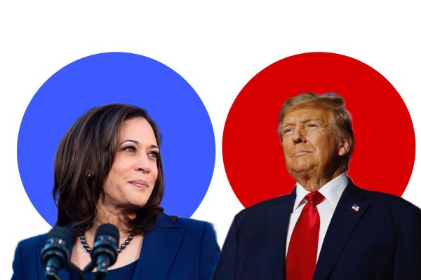 Trump or Harris: What Your Favorite Celebrity Has to Say