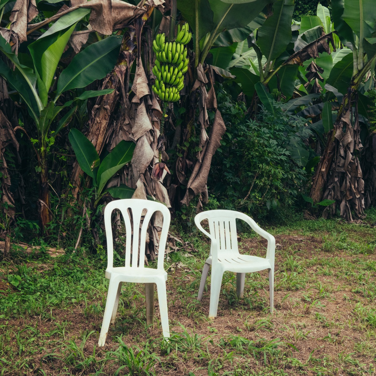 Bad Bunny’s Inspiring and Most Influential Album Yet: DeBÍ TiRAR Más FOToS