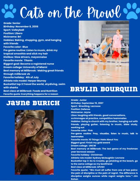 Cats On The Prowl: Brilyn Bourquin and Jayne Burich