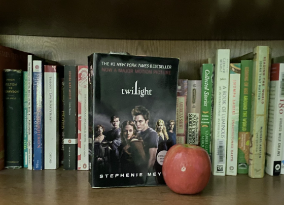 Unravel the Pages: 20 Years of Twilight