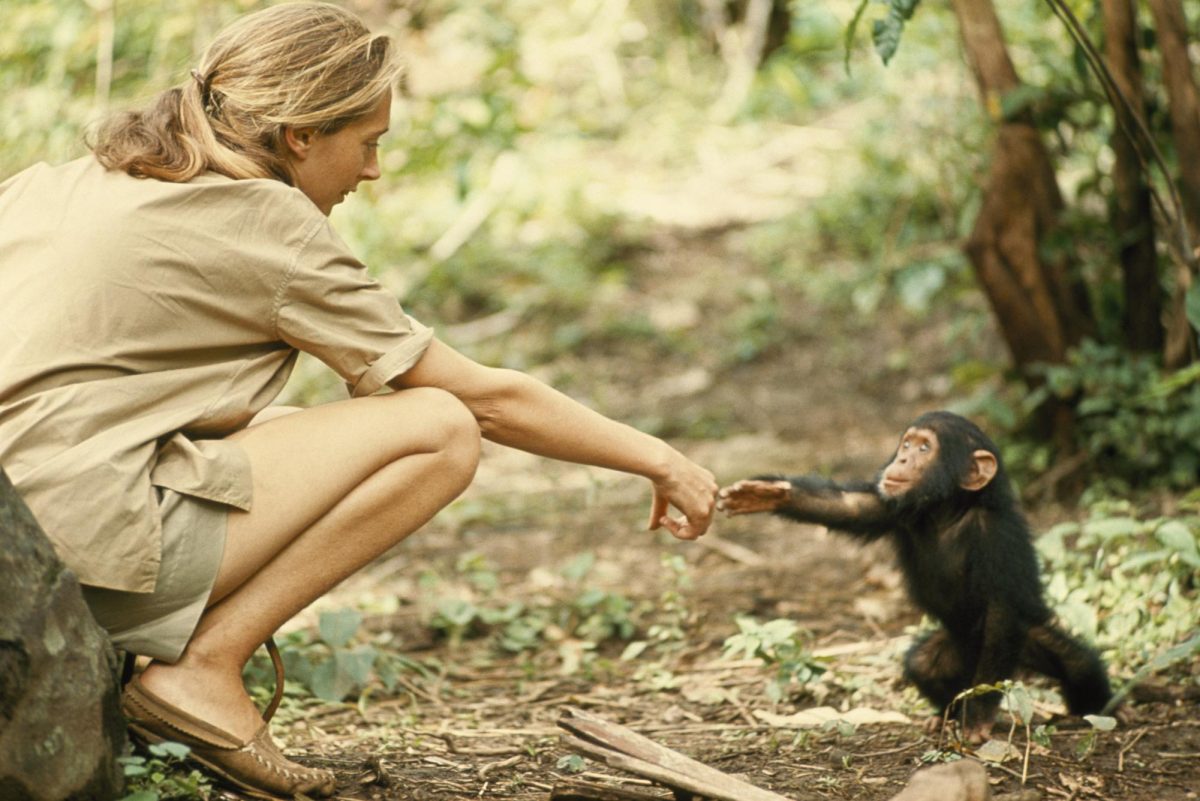 Jane Goodall Dies at 91