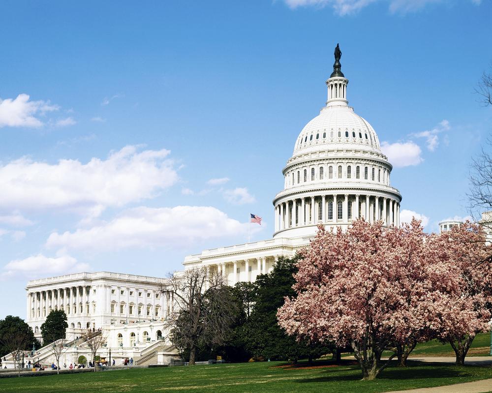 The United States Capitol Building in Washington D.C. 